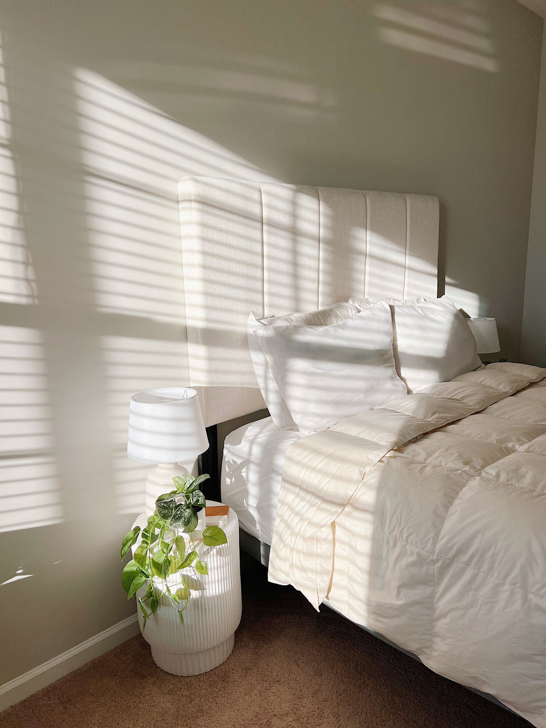 Organic Cotton