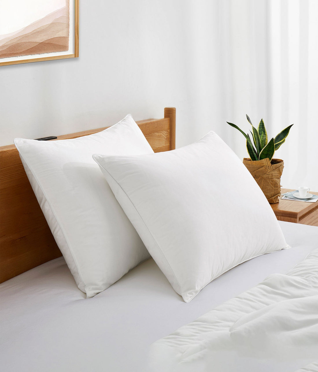 Pillows