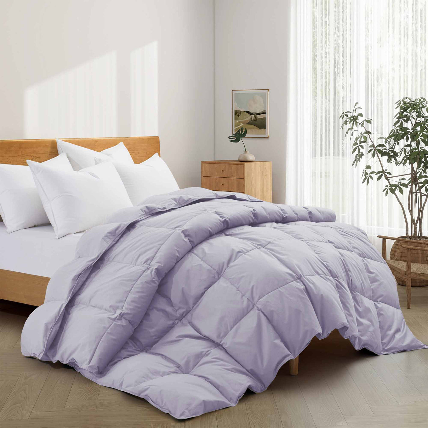 All Season Organic Cotton Down & Feather Comforter