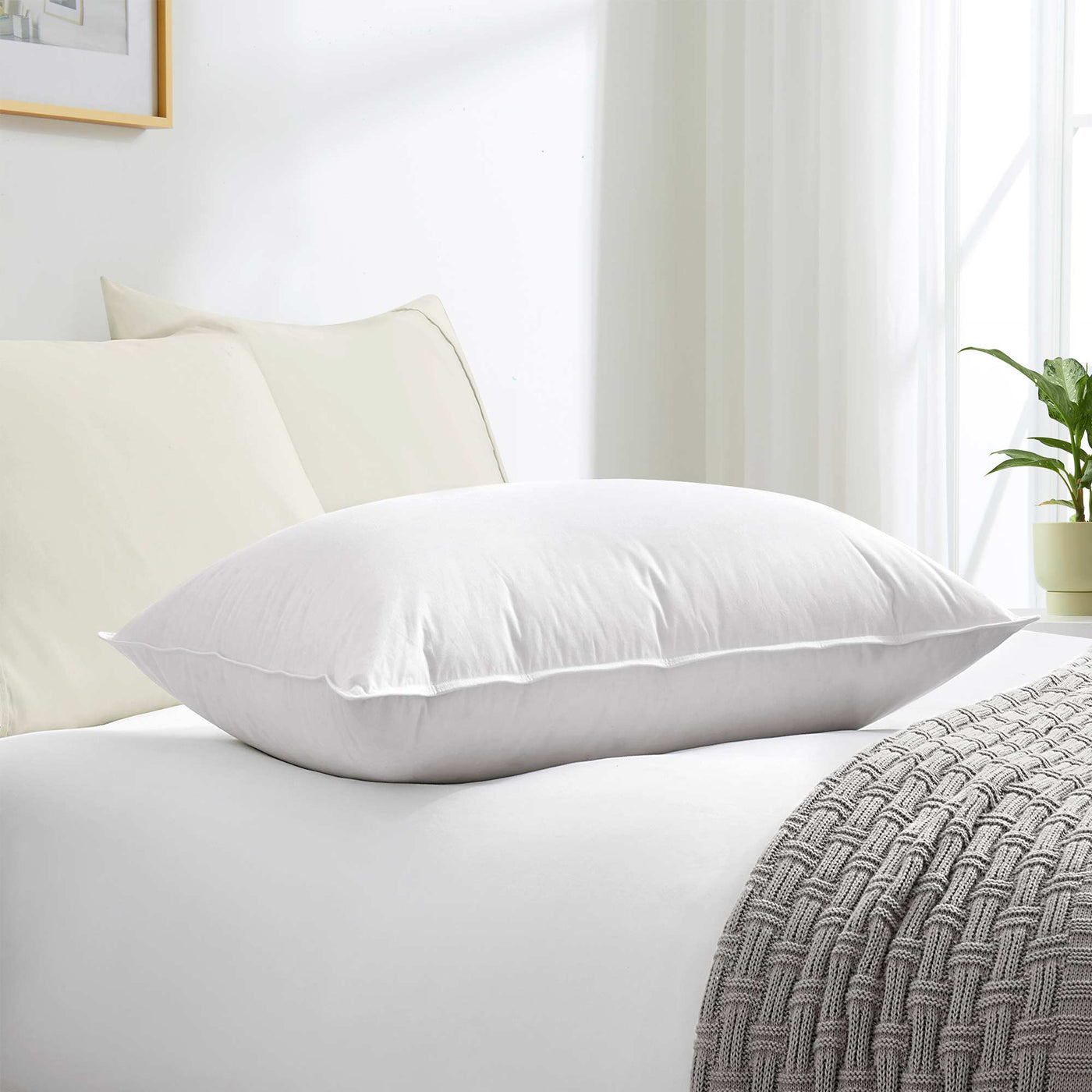 German-Made Down Comforter & Pillow Bundle