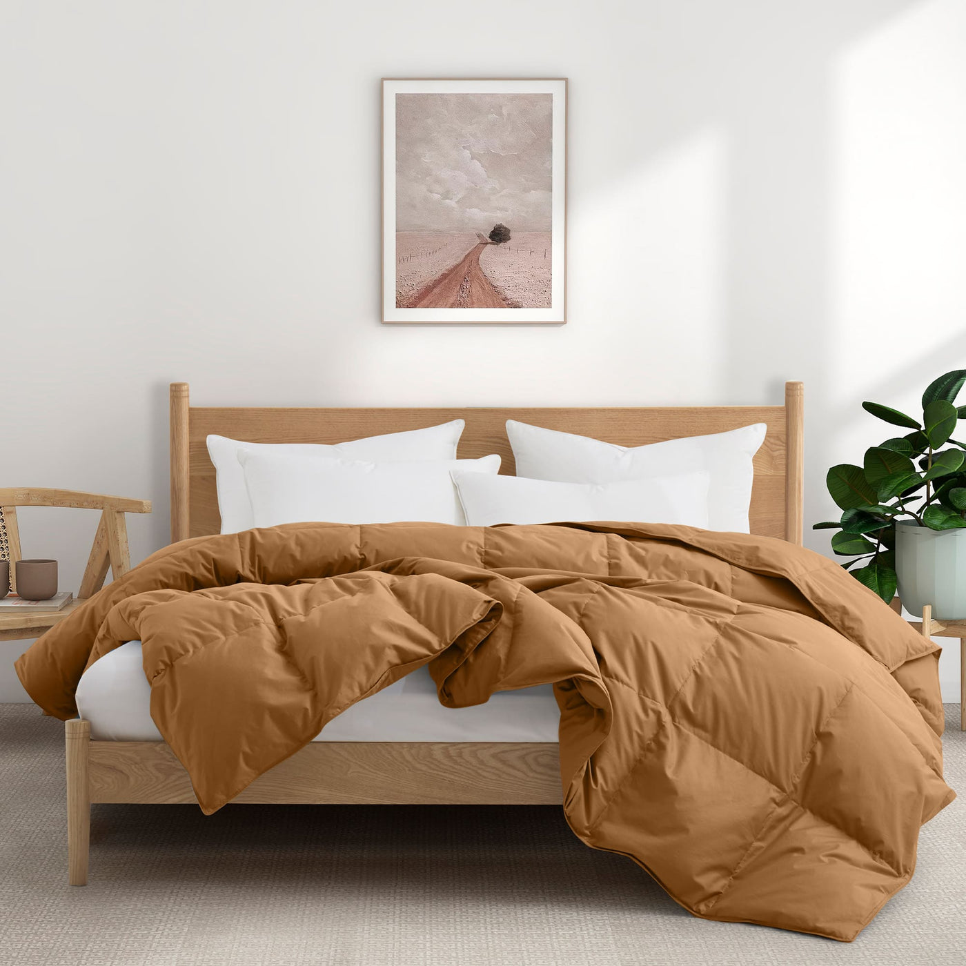 All Season Organic Cotton Comforter and Blanket Bundle