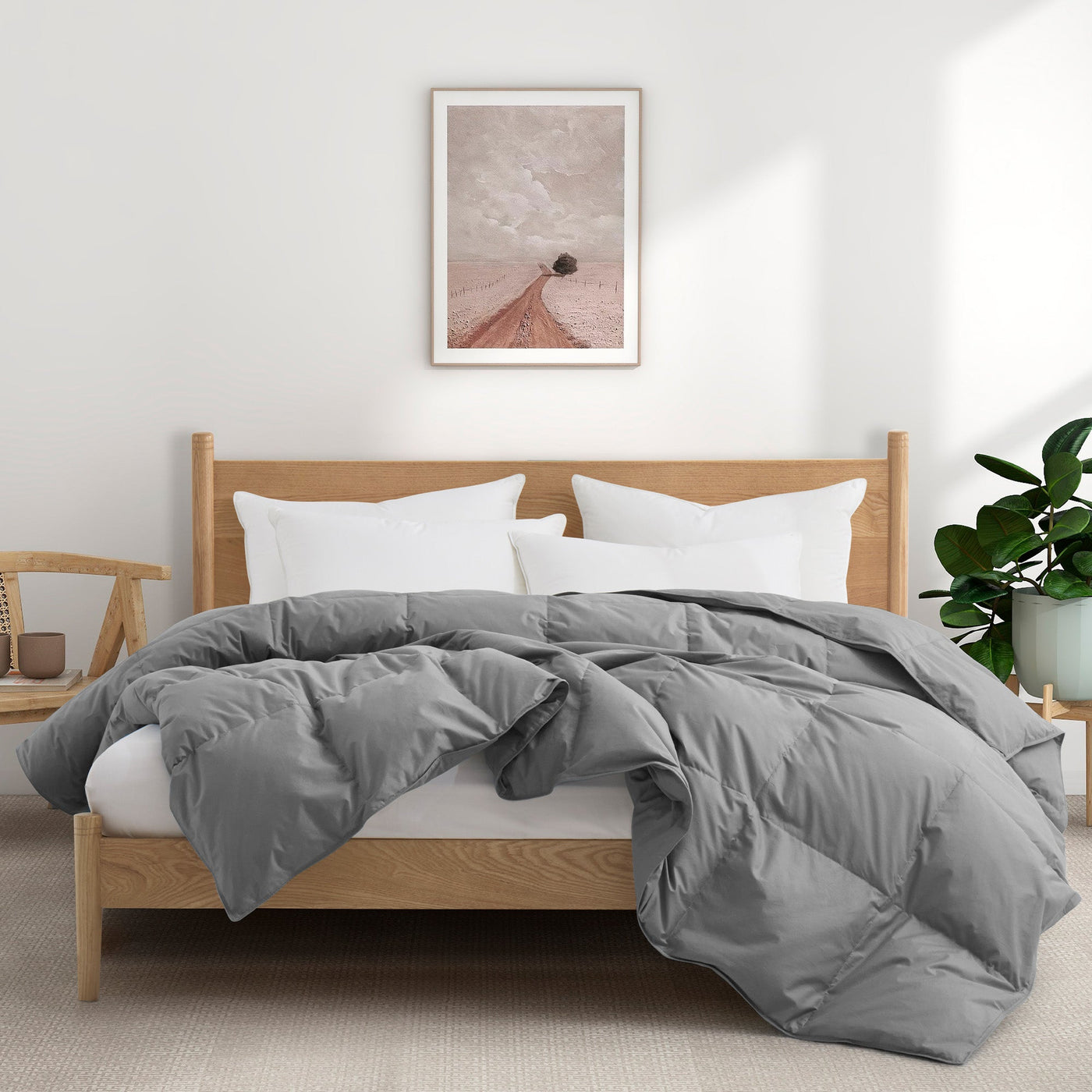 All Season Organic Cotton Comforter and Blanket Bundle