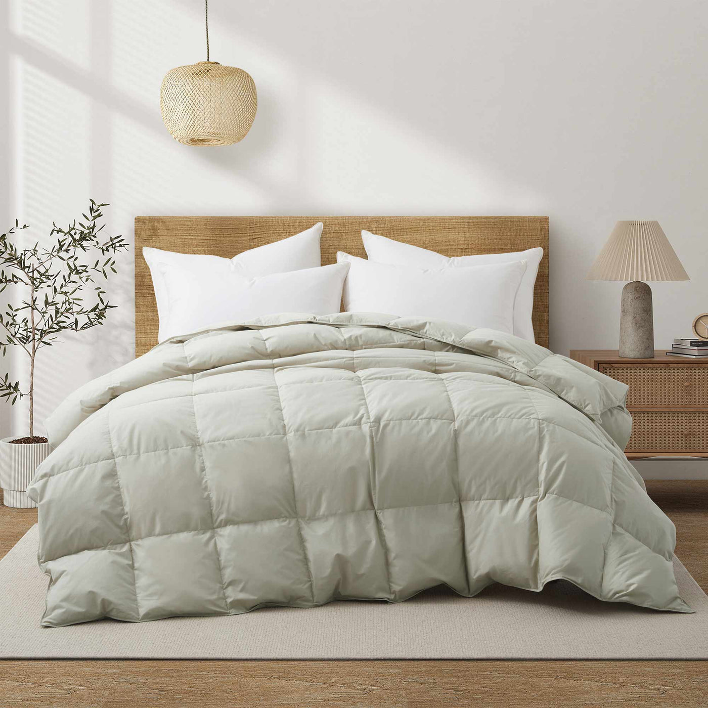 All Season Organic Cotton Comforter and Blanket Bundle