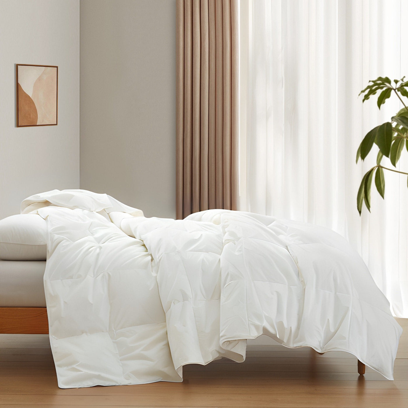 Lightweight Organic Cotton Down Comforter & Pillow Bundle