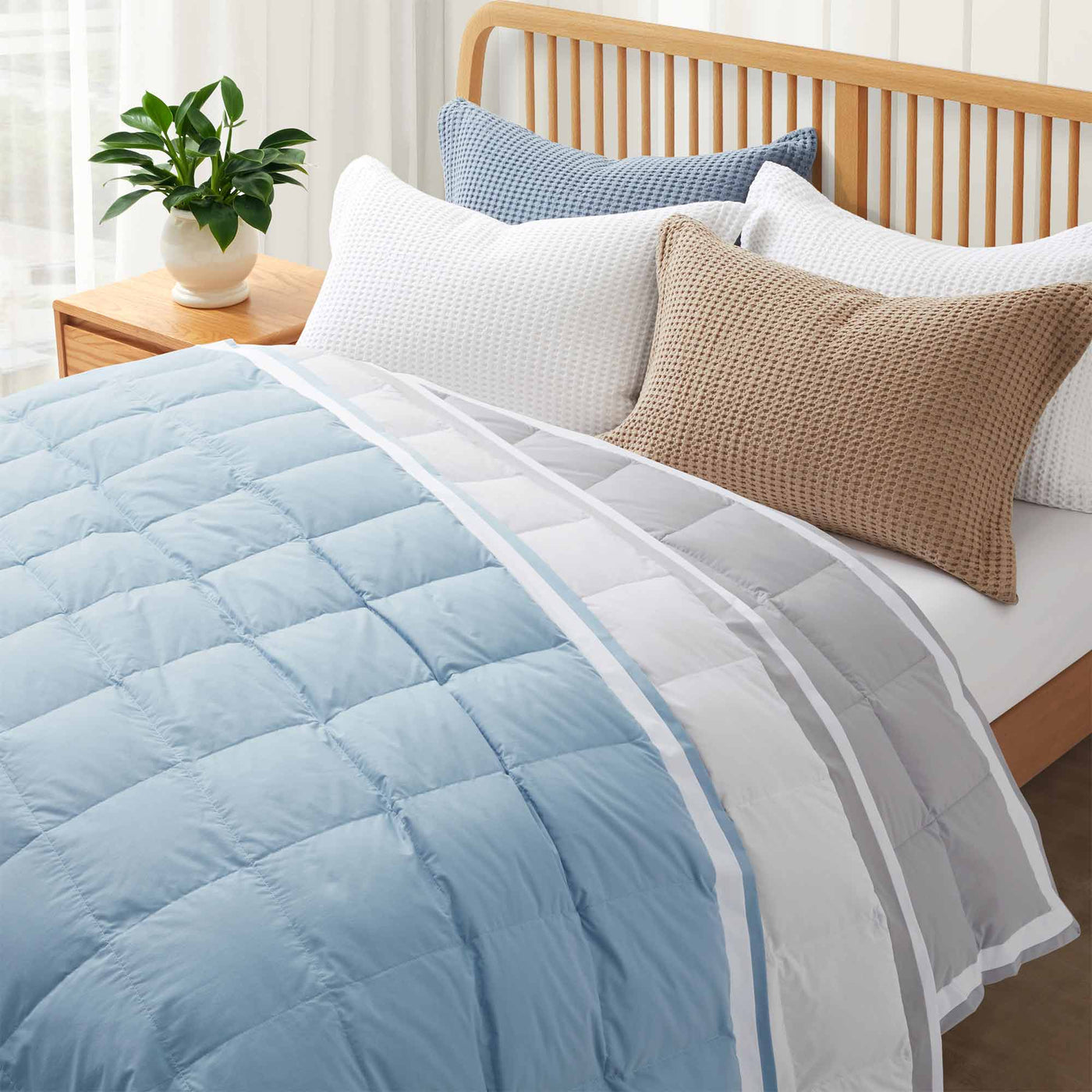 All Season Organic Cotton Comforter and Blanket Bundle