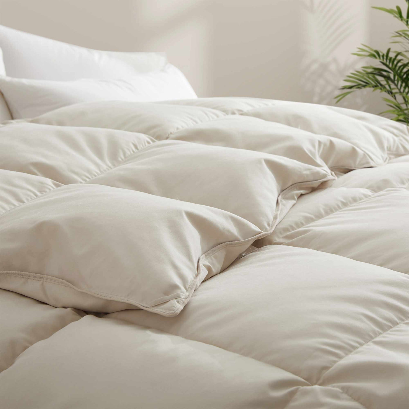 Goose Feather and Down Comforter