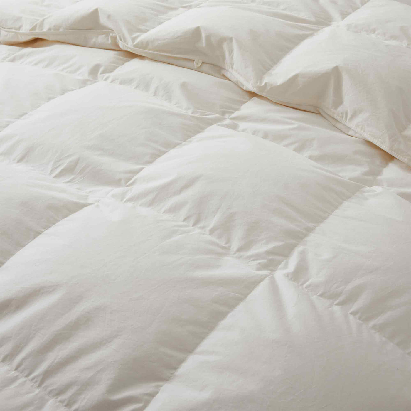 Organic Cotton Down Comforter
