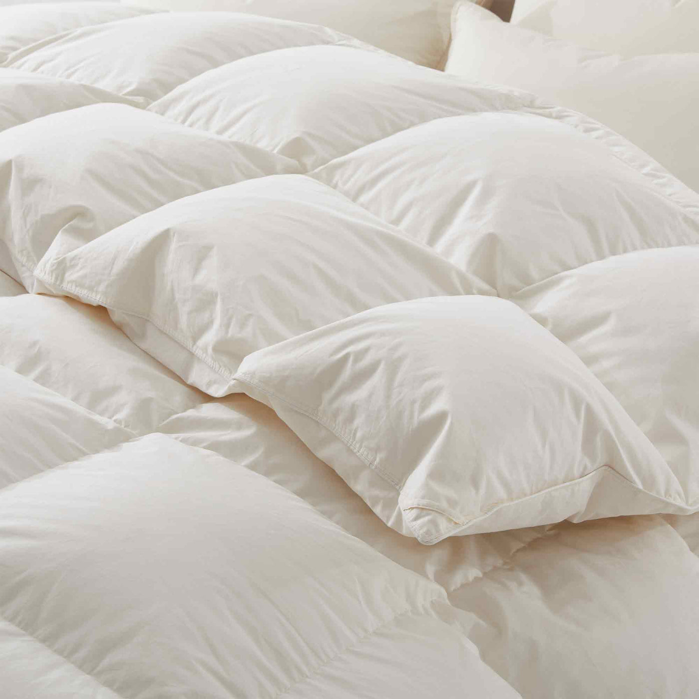 Organic Cotton Down Comforter