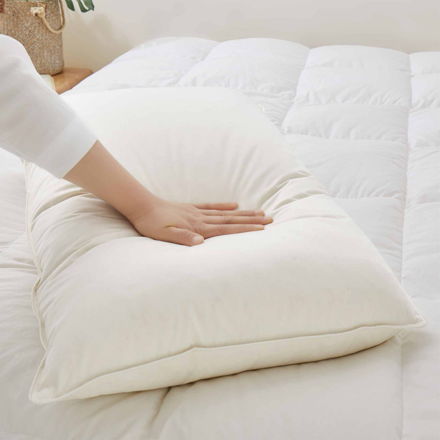 Made in Germany Organic Cotton Down Feather Pillows