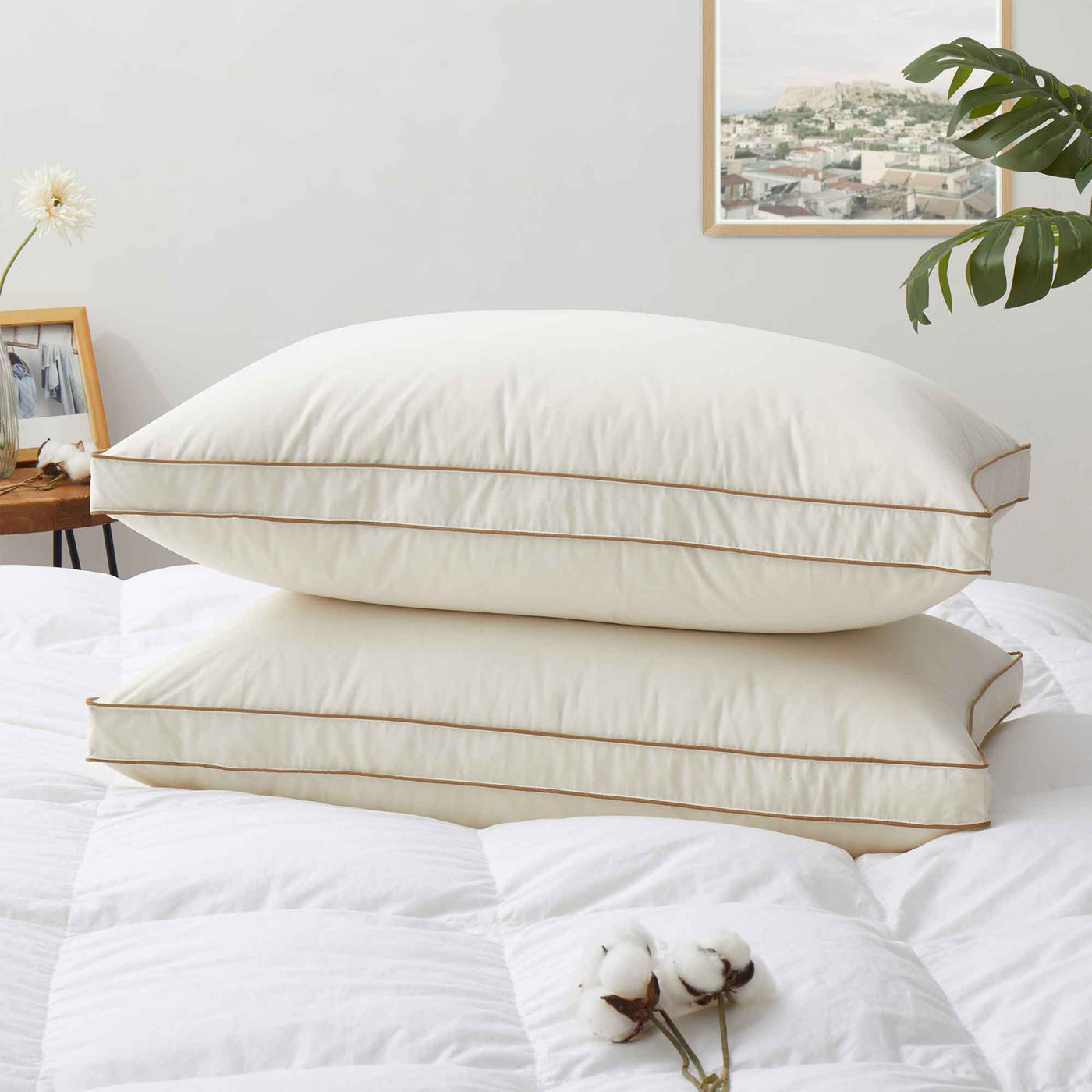 2 Pack Organic Cotton Down Feather Pillows for Back and Side Sleepers
