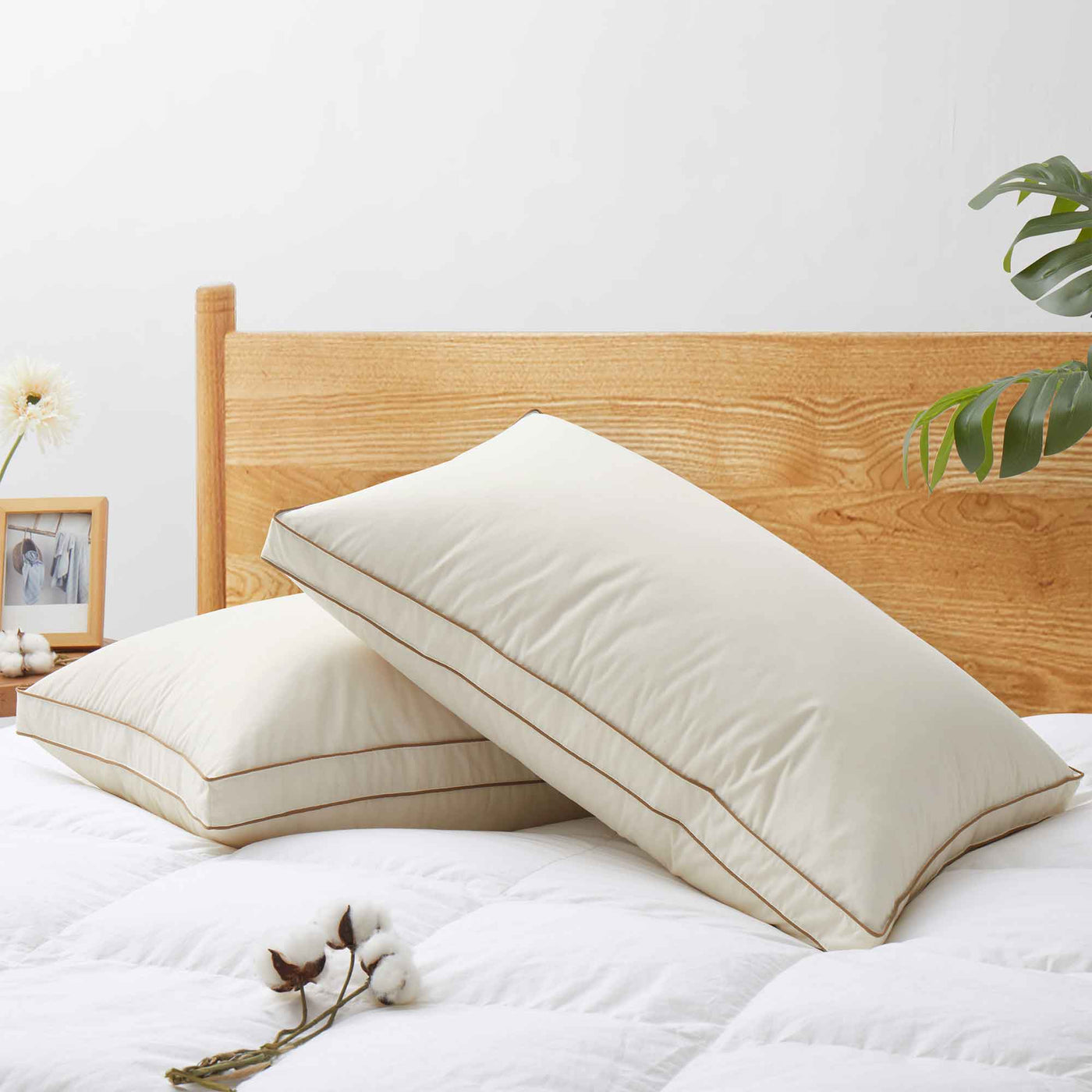 Lightweight Organic Cotton Down Comforter & Pillow Bundle