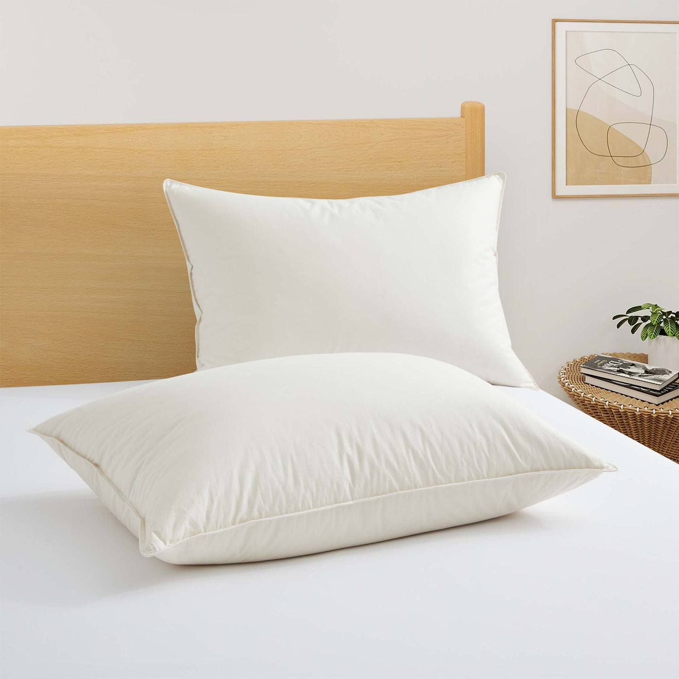 Made in Japan Organic Cotton Down Pillows