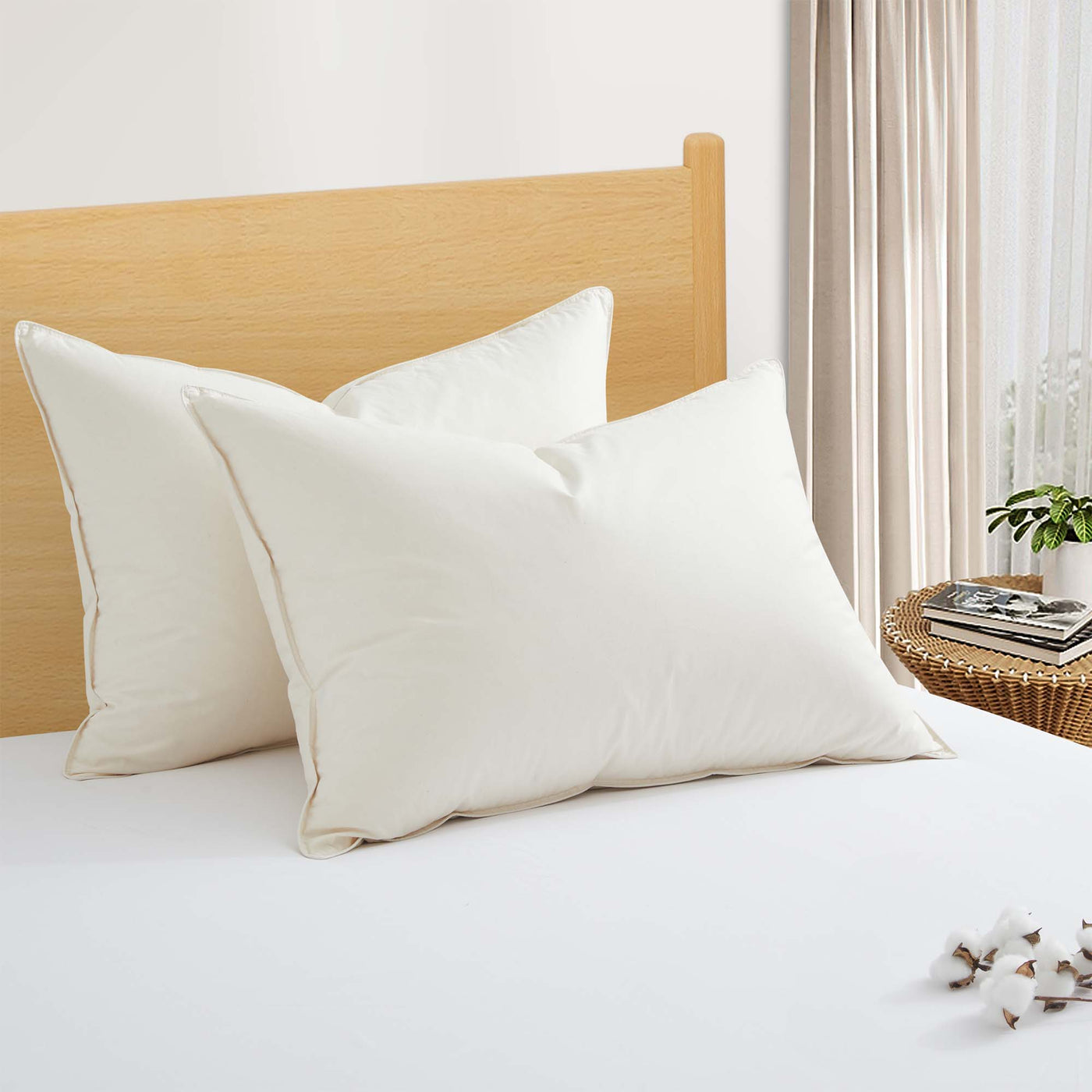 Made in Japan Organic Cotton Down Pillows