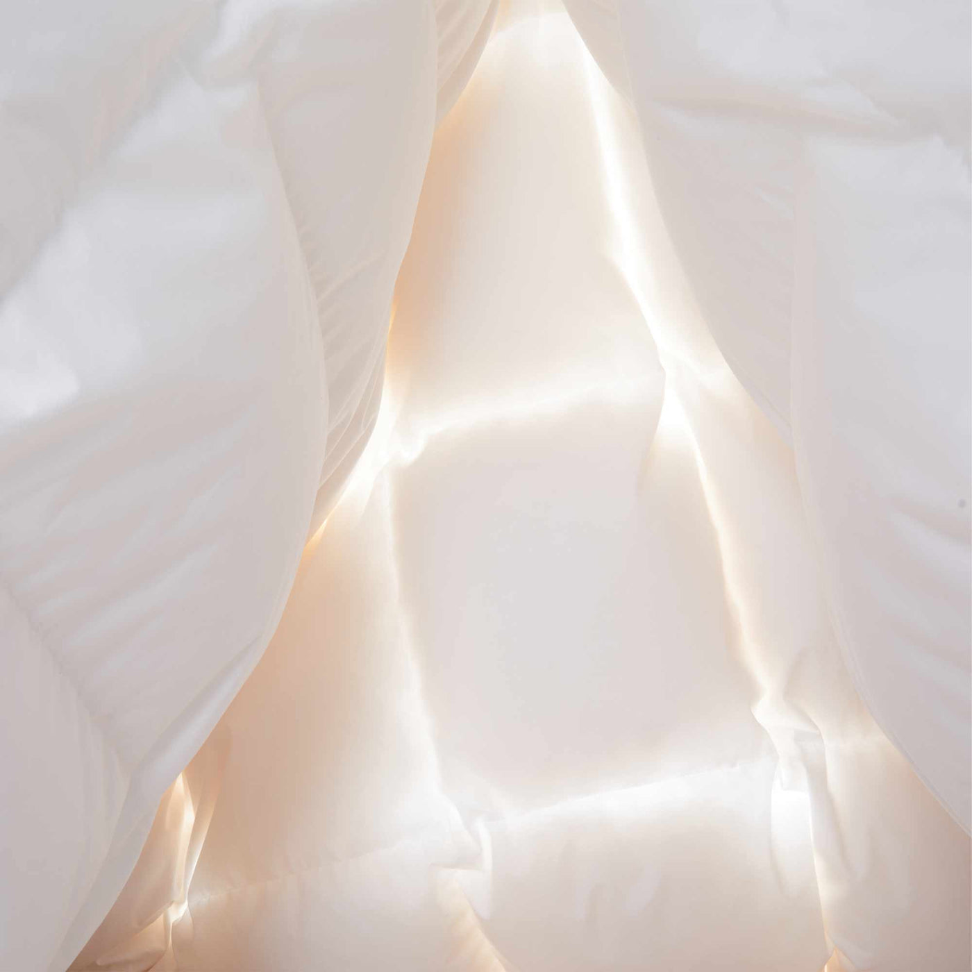 Made in Germany 800 Fill Power Goose Down Comforter