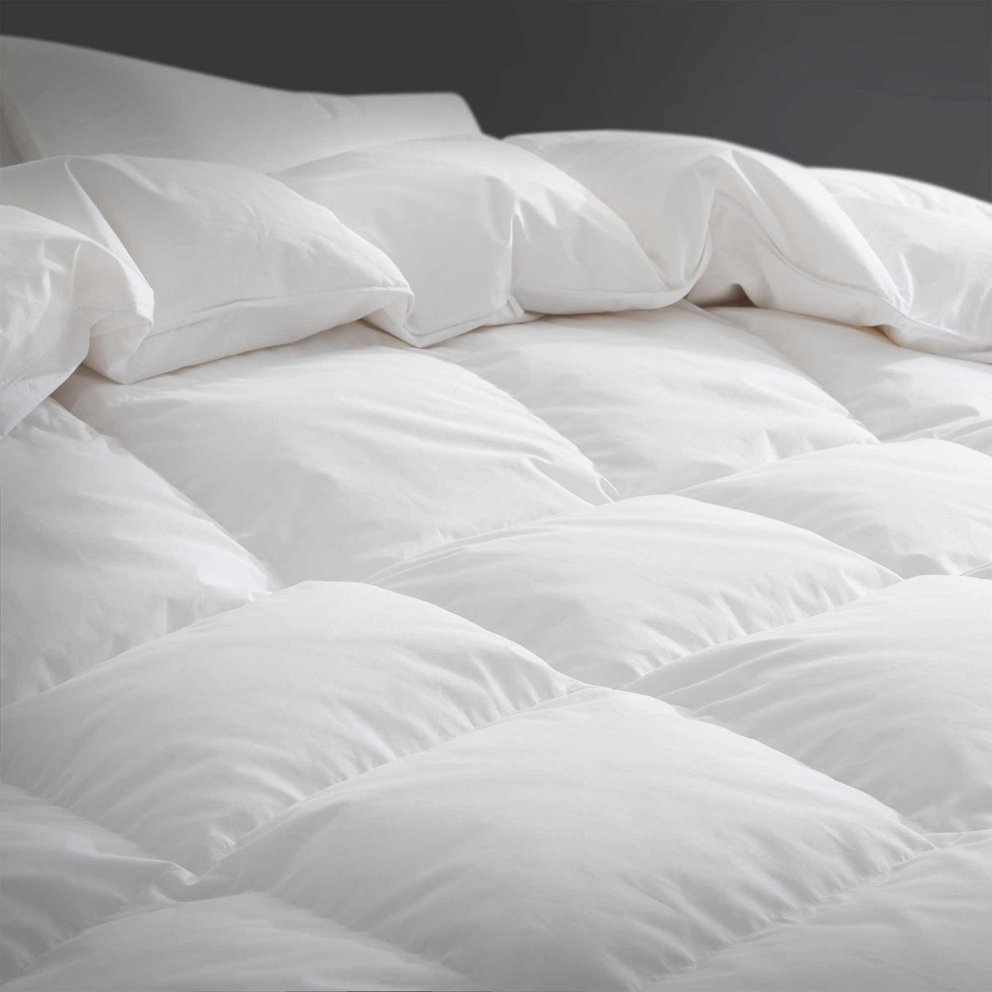 Made in Germany 800 Fill Power Goose Down Comforter