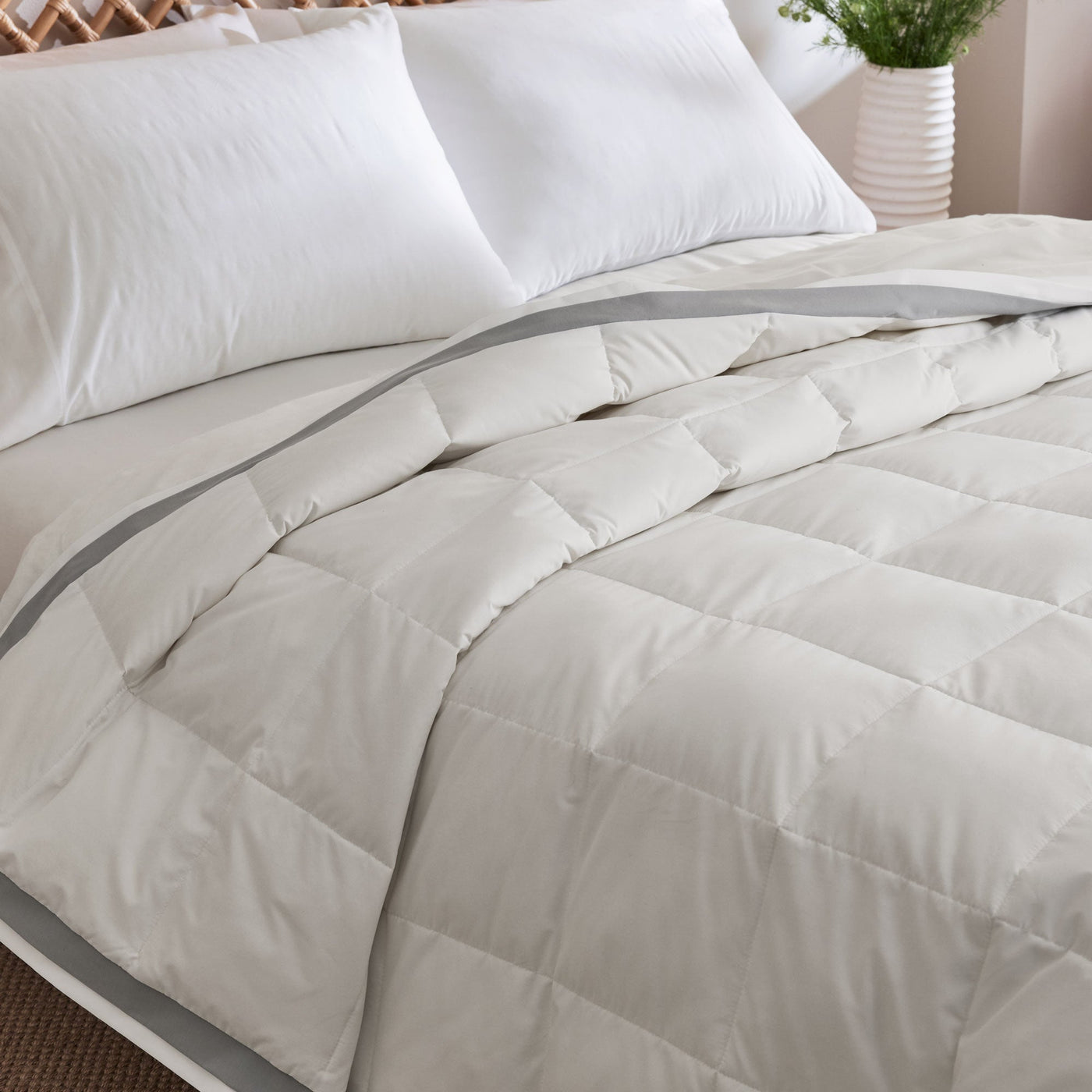 All Season Organic Cotton Comforter and Blanket Bundle